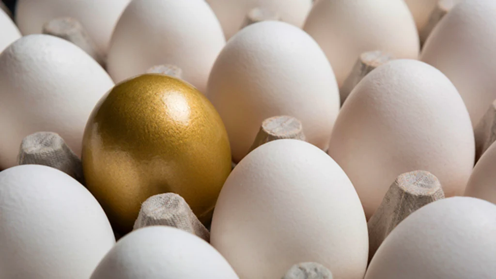 A experiência digital e por que implementar o quanto antes